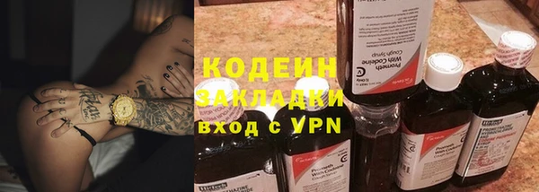 mix Инта
