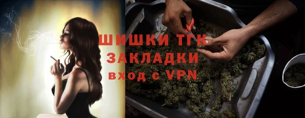 ГАЛЛЮЦИНОГЕННЫЕ ГРИБЫ Иннополис