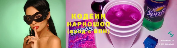 спайс Каменка