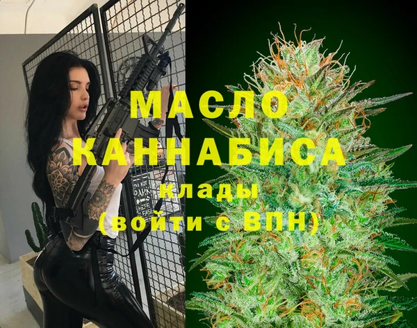 mix Инта