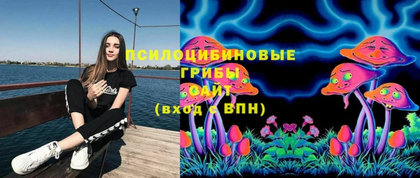 mix Инта