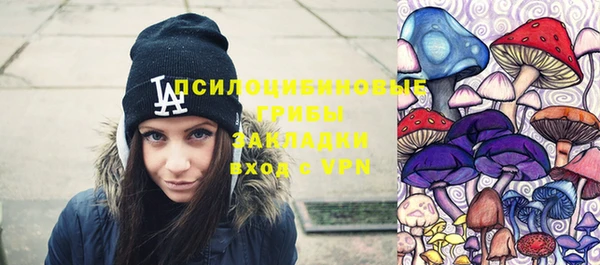 прущие крисы Инсар