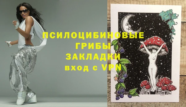 ГАЛЛЮЦИНОГЕННЫЕ ГРИБЫ Иннополис