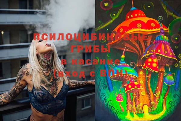 mix Инта