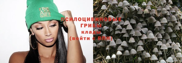mix Инта