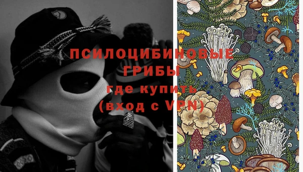 mix Инта