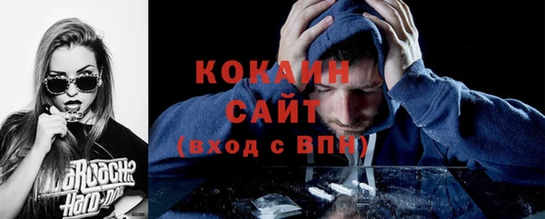 ГАЛЛЮЦИНОГЕННЫЕ ГРИБЫ Иннополис